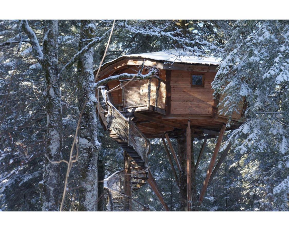 Cabanes Des Volcans La Tour-d'Auvergne Exterior photo