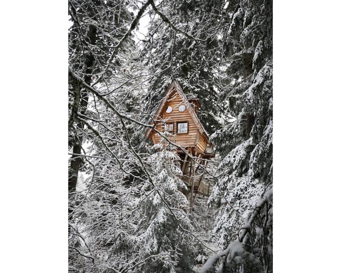 Cabanes Des Volcans La Tour-d'Auvergne Exterior photo