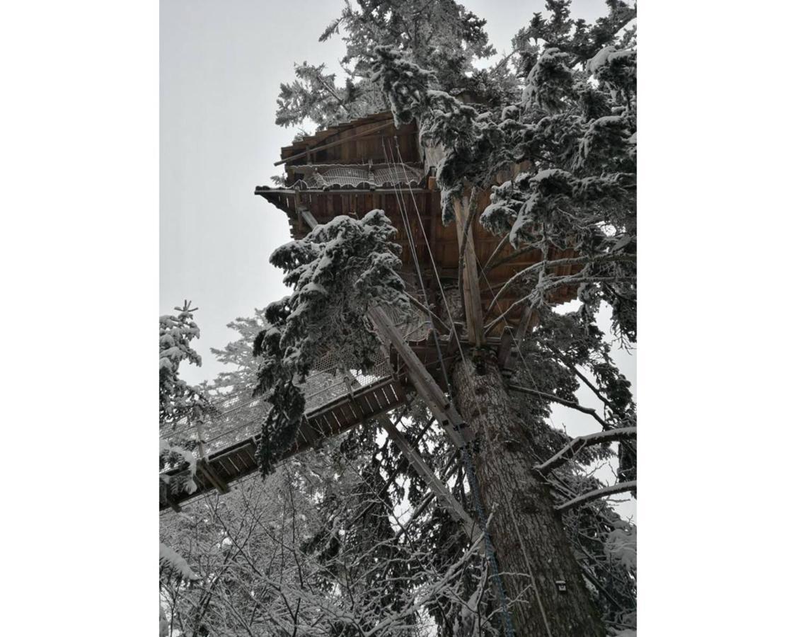 Cabanes Des Volcans La Tour-d'Auvergne Exterior photo