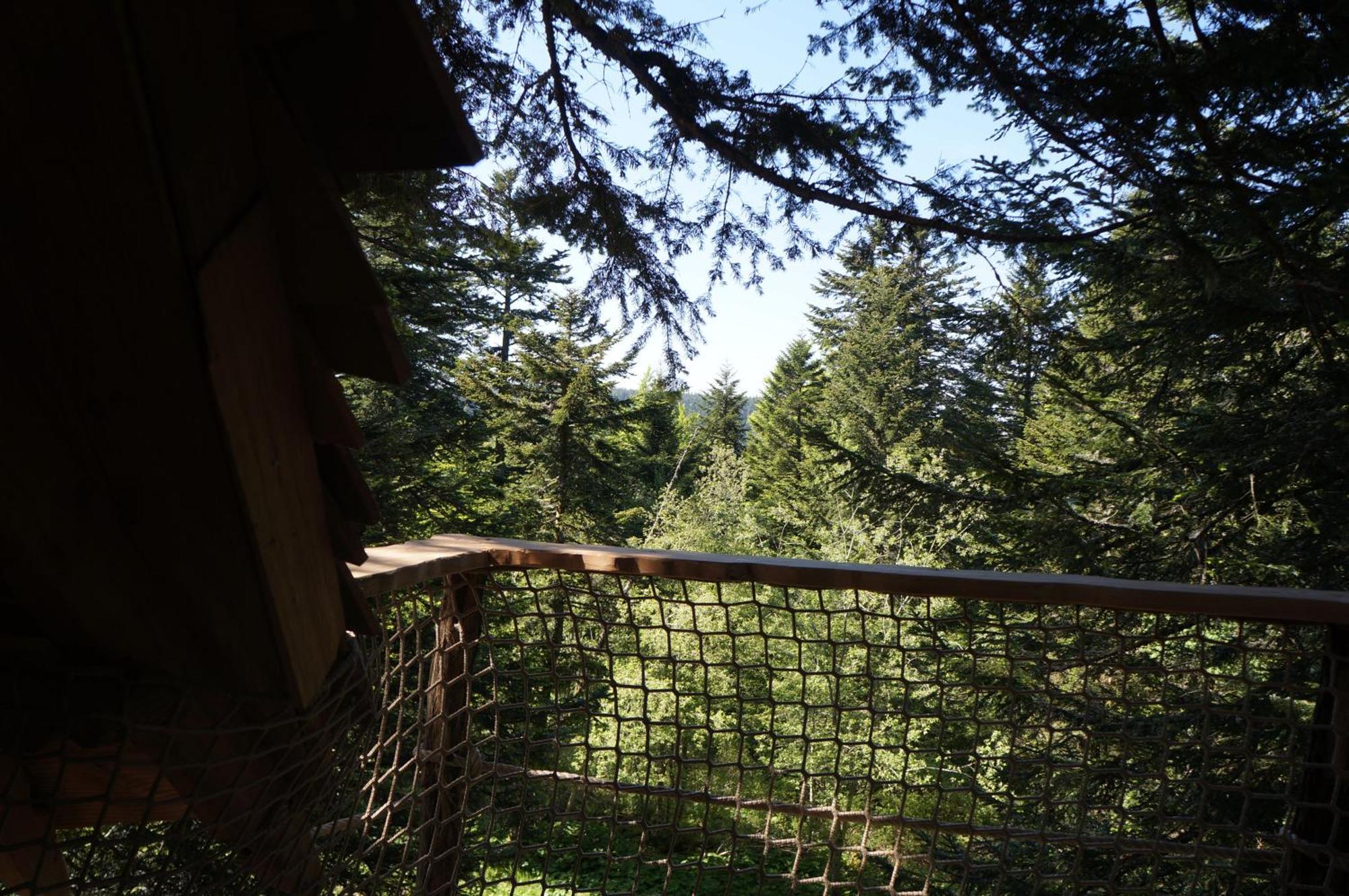 Cabanes Des Volcans La Tour-d'Auvergne Room photo